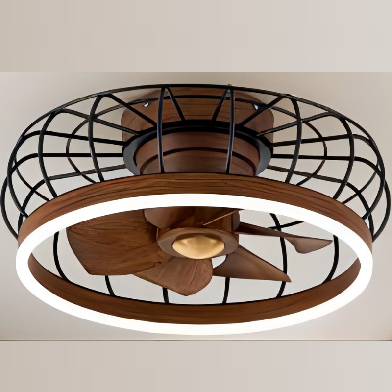 Why You Should Choose Ceiling Fan Light for Your Home