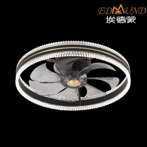 C002-BK Ceiling fan light