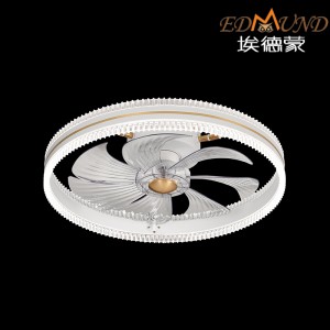 C002-WH Ceiling fan light