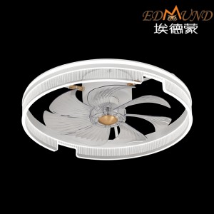 C012 Ceiling fan light